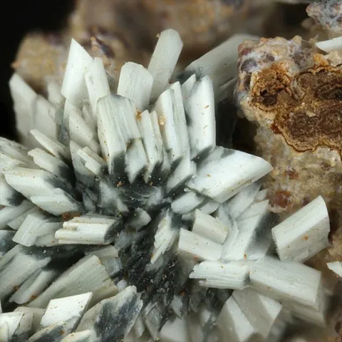 Köttigite de Ojuela Mine, Mapimí, Durango, Mexique © Marko Burkhardt