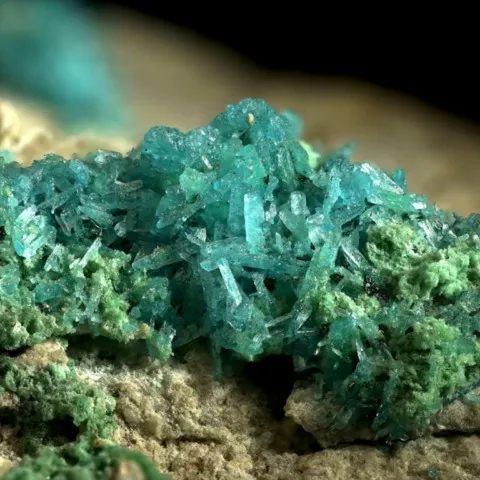 Kröhnkite et antlérite de Chuquicamata Mine, Chili © Shann Young