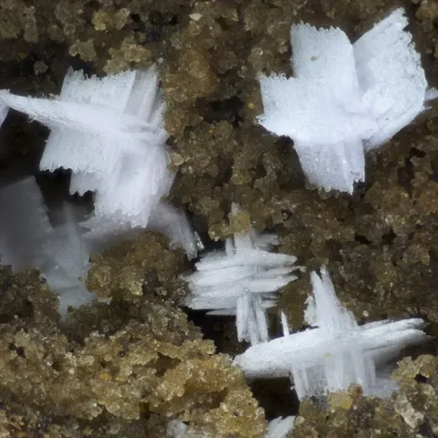 Lanthanite-(Ce) de Mosset, Pyrénées-Orientales, France © Philippe Font