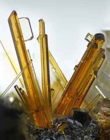 Lavénite et wöhlerite de In den Dellen quarries, Eifel, Allemagne © G. Franz Zöll