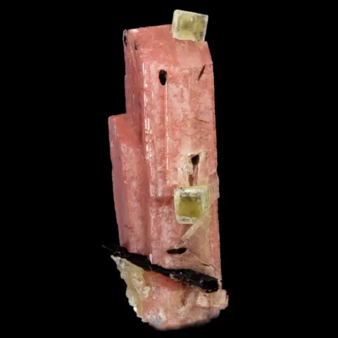 Leucophane sur sérandite de Poudrette Quarry, Mont St-Hilaire, Canada © Knut Eldjarn