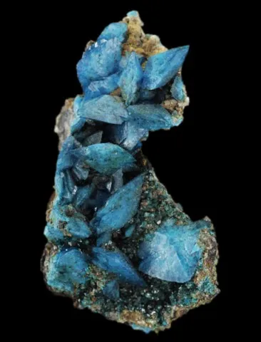 Liroconite de Wheal Gorland, St Day, Cornouailles, Angleterre, UK © Jeff Scovil
