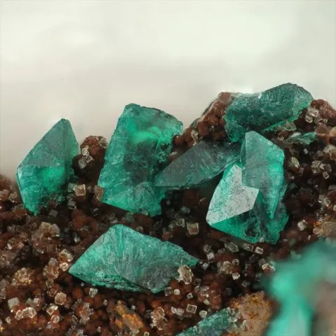 Liroconite de Wheal Gorland, St Day, Cornouailles, Angleterre, UK © Stephan Wolfsried