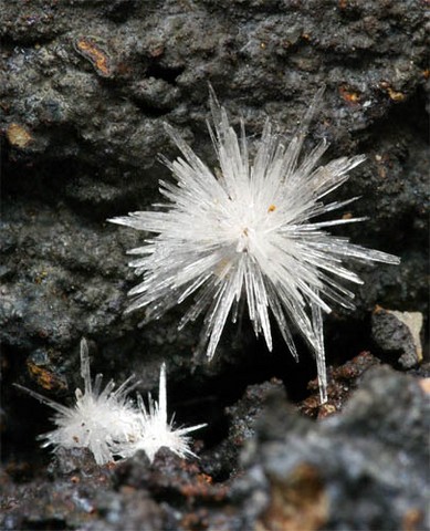 Pompon d'aragonite de Gergovie