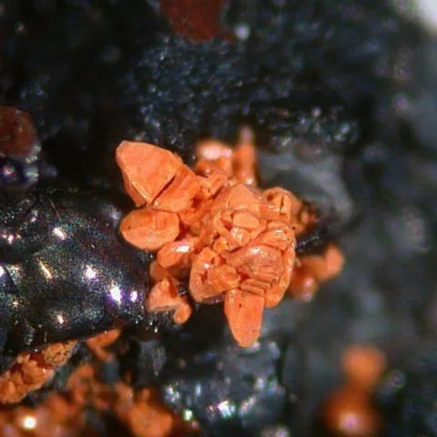Cérusite altérée en massicot de Mohawk Mine, Californie, USA © Elmar Lackner