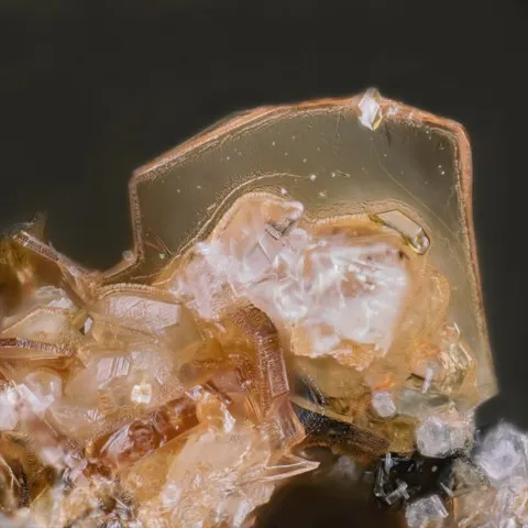 Mélilite des scories de Lapanouse-de-Séverac, France © Christophe Boutry