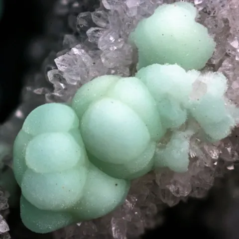 Minyulite de Pereta Mine, Scansano, Italie © Gianfranco Ciccolini