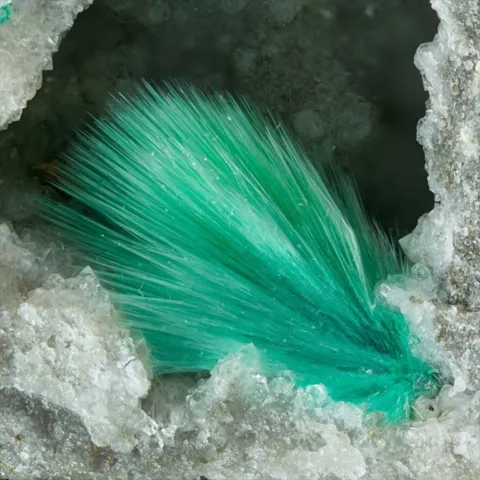 Mixite de North Star Mine, Mammoth, Utah, USA © Alex Earl