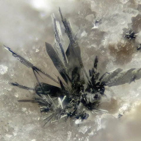 Acanthite d'Echassières, Allier, France - © Gerhard Niceus