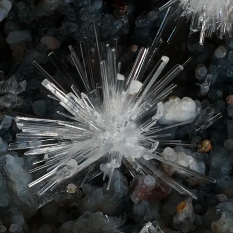 Nesquehonite de Brosso Mine, Italie © Flavio Giuseppe Taricco
