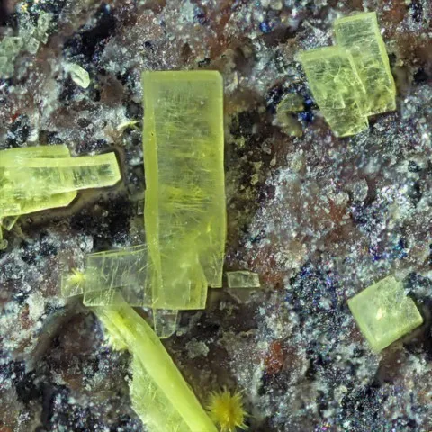 Novacekite de Rabejac, Hérault, France © Guy Bernadi