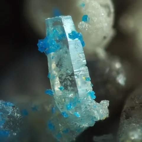 Penfieldite et diaboléite de Margarita Mine, Sierra Gorda, Chili © Joy Desor
