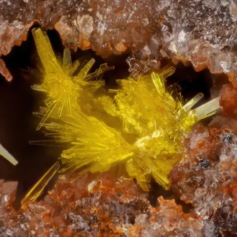 Phosphuranylite de la mine Bel Air, Deux-Sèvres, France © Jean-Marc Johannet