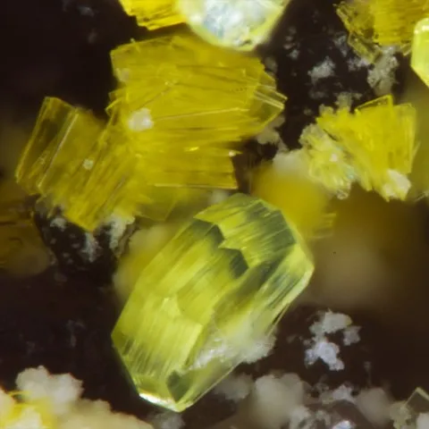 Phosphuranylite du Boucheron, Ussel, Corrèze, France © Philippe Font