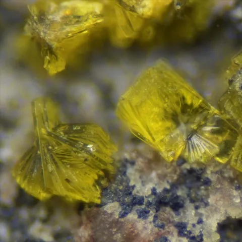 Phurcalite des Bois Noirs, Loire, France © Pascal Chollet