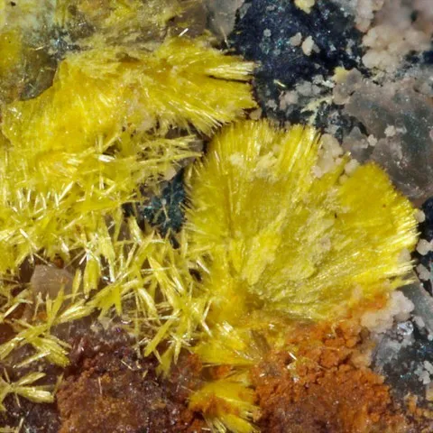 Phurcalite du Boucheron, Davignac, Corrèze, France © Enrico Bonacina