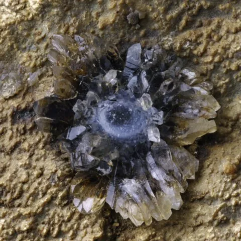 Fleur de quartz de Pont-du-Château, Puy-de-Dôme, France