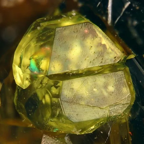 Liebigite de Les Mares III, Saint-Martin, Lodève, Hérault, France © Elmar Lackner