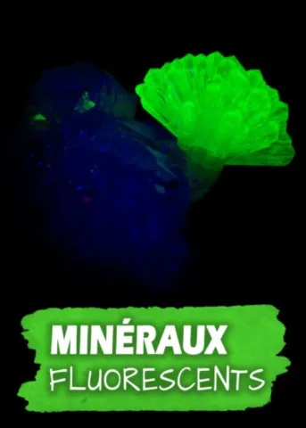 Minéraux fluorescents