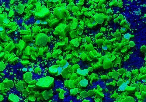 Autunite fluorescente