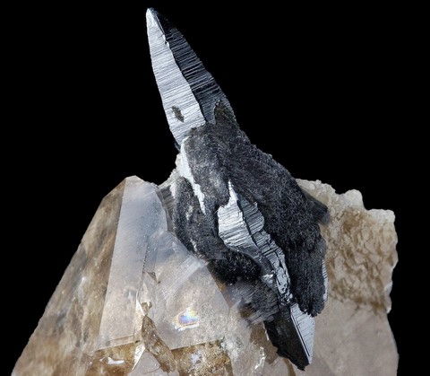Anatase (19 mm) sur quartz de la Pointe du Rozet, Savoie, France