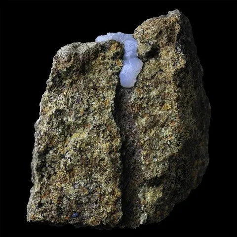 Bioturbation (racine, terrier) en lussatite
