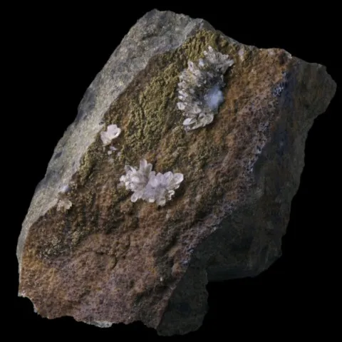 Fleur de quartz de Pont-du-Château, Puy-de-Dôme, France