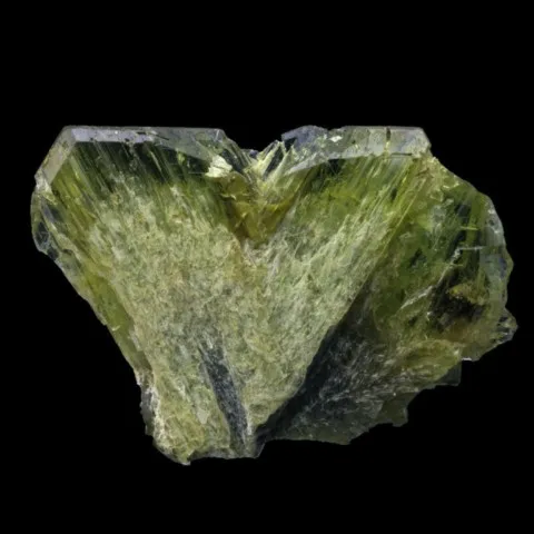 Chrysobéryle maclé de Madagascar