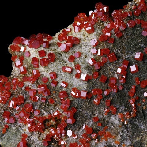 Vanadinite de Apache Mine, Globe, Gila Co., Arizona, USA