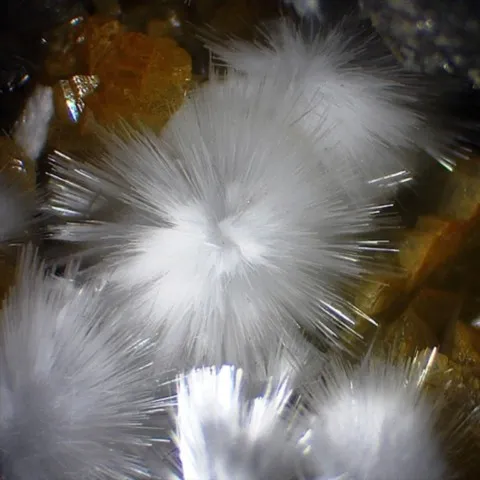 Dawsonite de Tolfa Mts, Lazio, Italie © Luigi Mattei