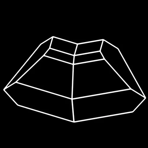 Twinned augite crystal model (001)