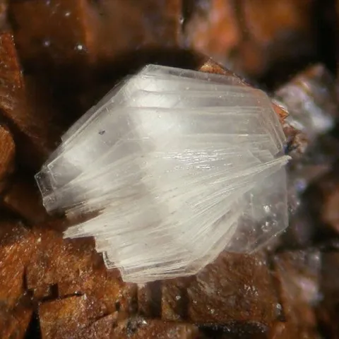 Dickite de Mas Lavayre, Lodève, Hérault, France © Elmar Lackner