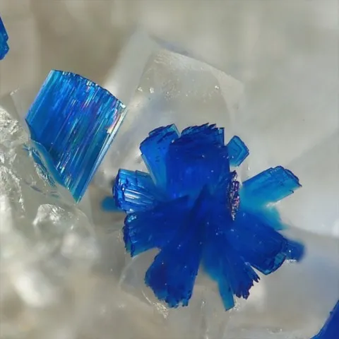 Kinoite et apophyllite de Christmas Mine, Arizona, USA © Elmar Lackner