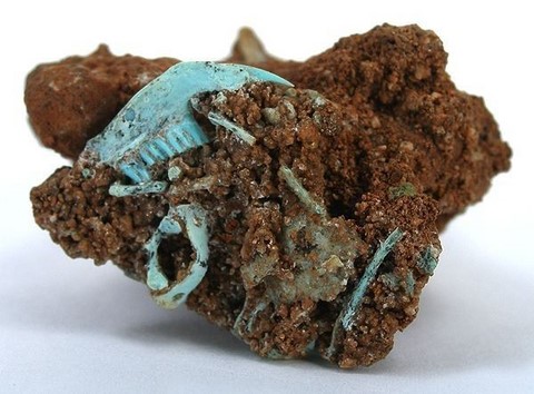 Fossilized jaw epigenized in turquoise