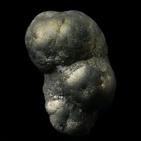Pyrite en amas botryoïdal du Cap Blanc Nez