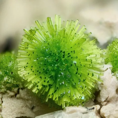 Arthurite de Majuba Hill Mine, Nevada, USA © Storm Sears