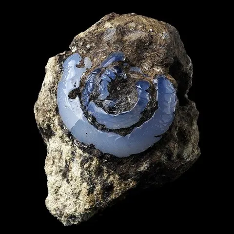 Helix ramondi en lussatite