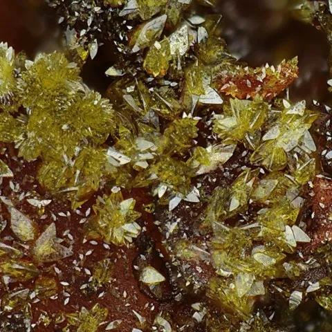 Plumbogummite de la mine Clara, Allemagne © Michael Förch