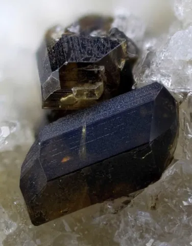 Pyroxferroïte de Caspar quarry, Ettringen, Allemagne © Christof Schäfer