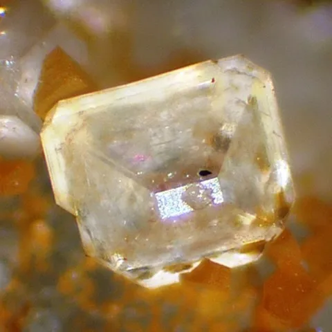 Ralstonite de Ivigtut Mine, Groenland © Luigi Mattei