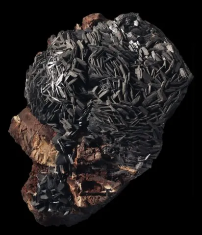 Ramsdellite de Lake Valley, Nouveau-Mexique, USA © Ronnie Van Dommelen