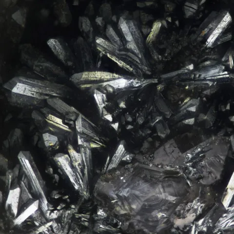 Ramsdellite du Rivet, Peyrebrune, Tarn, France © Thierry Brunsperger