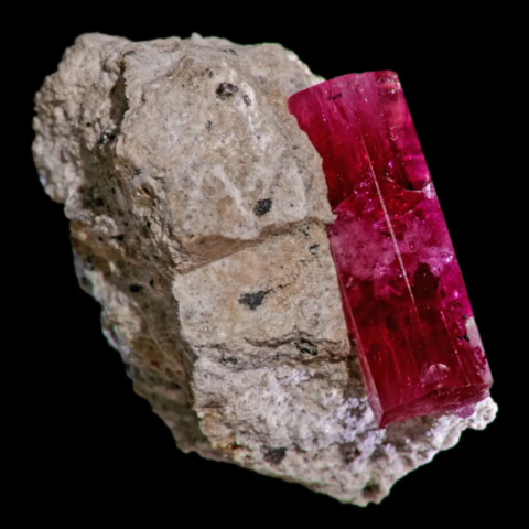 Béryl rouge de 1,6 cm de Violet Claims, Beaver County, Utah, USA © Rob Lavinsky