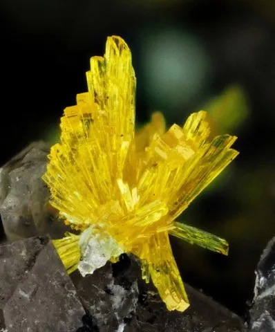 Renardite de Shinkolobwe, Katanga, République Démocratique du Congo © Uwe Haubenreisser