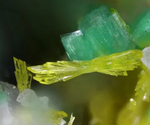 Renardite sur torbernite de Shinkolobwe, Katanga, République Démocratique du Congo © Carsten Slotta