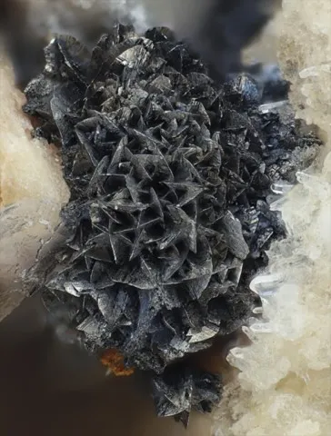 Safflorite de Neuglück Mine, Allemagne © Michael Förch
