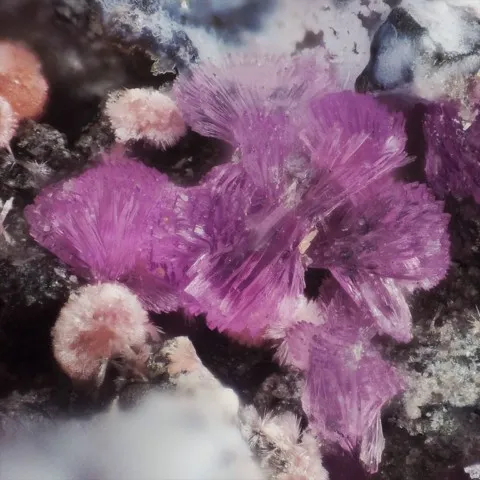 Sainfeldite et picropharmacolite de Bou Azzer, Maroc © Jean-Pierre Barral