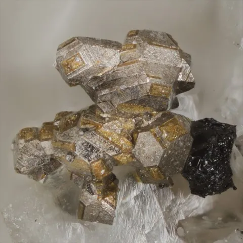 Siegenite et bitume de Winterslag, Belgique © Yannick Vessely