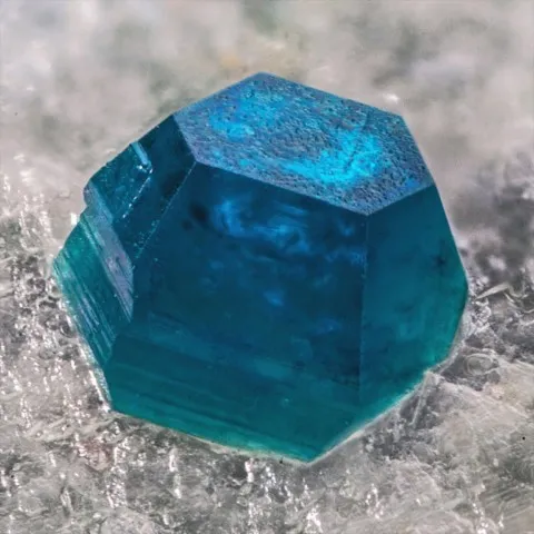 Spangolite de Mex-Tex Mine, Bingham, Nouveau-Mexique, USA © Gianfranco Ciccolini