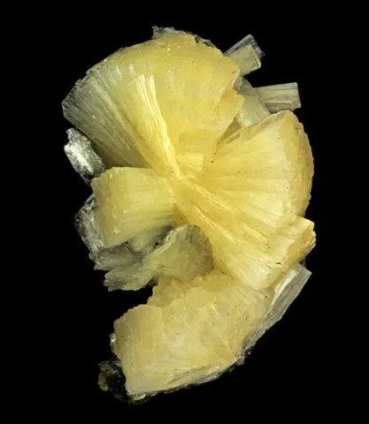 Stellerite d'Aurangabad, Maharashtra, Inde © Dan Weinrich